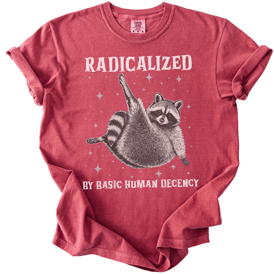 Raccoon Radicalized by Basic Human Decency Tee