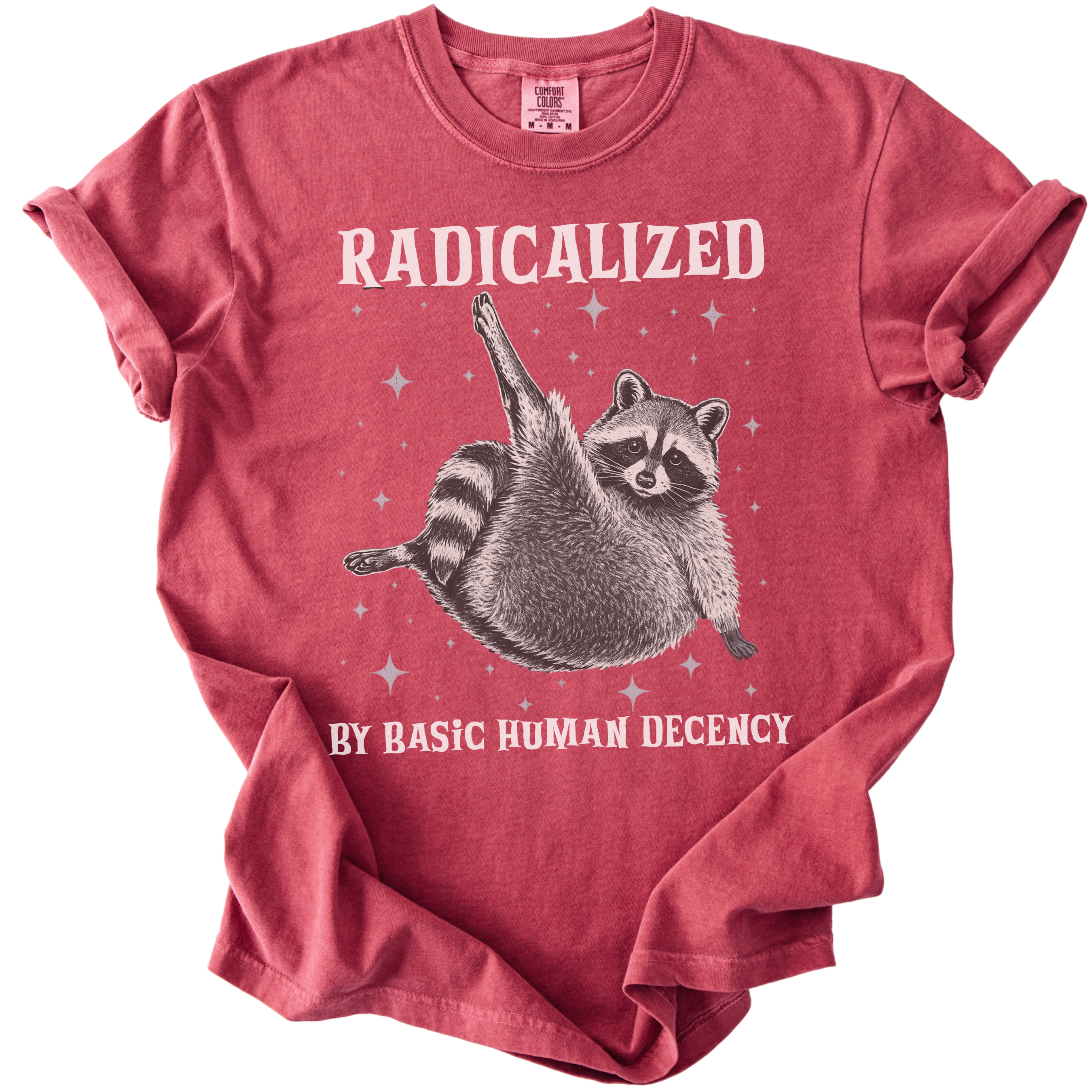 Raccoon Radicalized by Basic Human Decency Tee