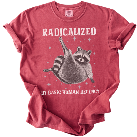 Raccoon Radicalized by Basic Human Decency Tee