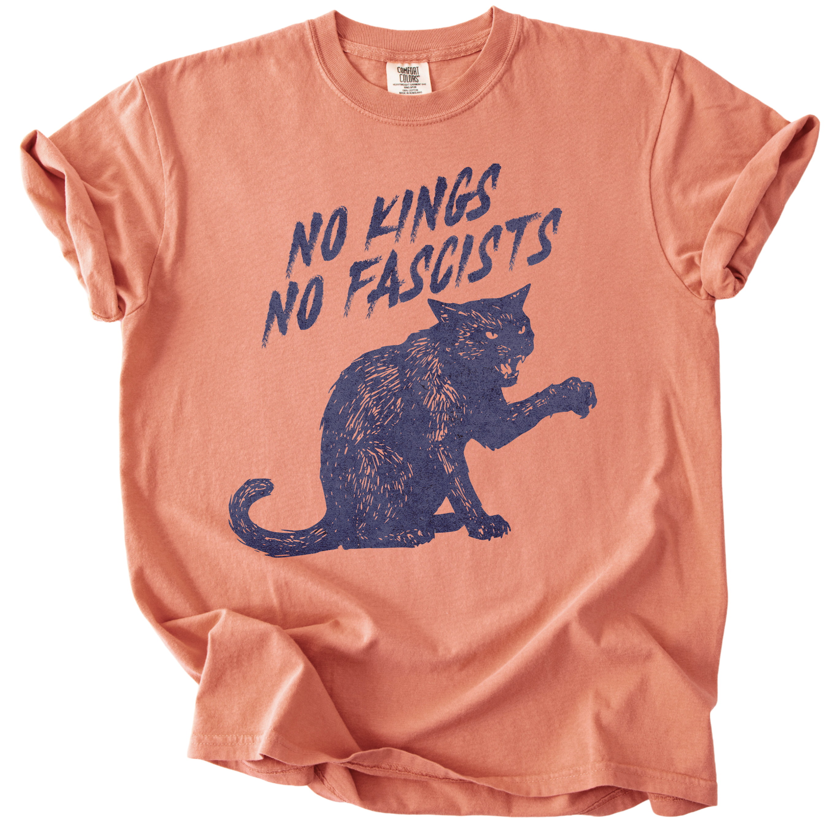 No Kings No Fascists Black Cat Tee