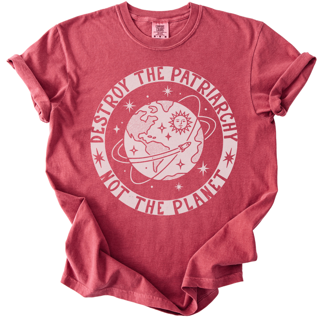 Destroy the Patriarchy Not The Planet Tee