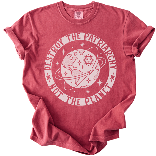 Destroy the Patriarchy Not The Planet Tee