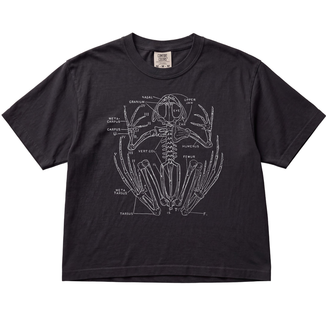 Anatomical Frog Skeleton Women&