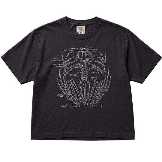 Anatomical Frog Skeleton Women&
