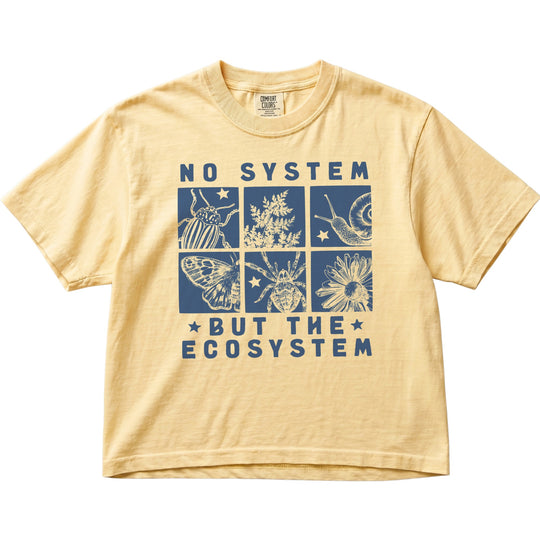 No System But The Ecosystem Women&
