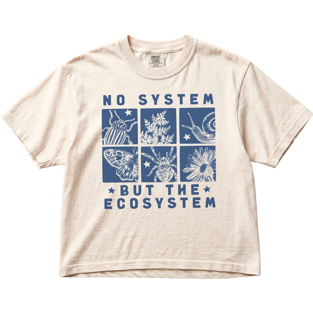 No System But The Ecosystem Women&