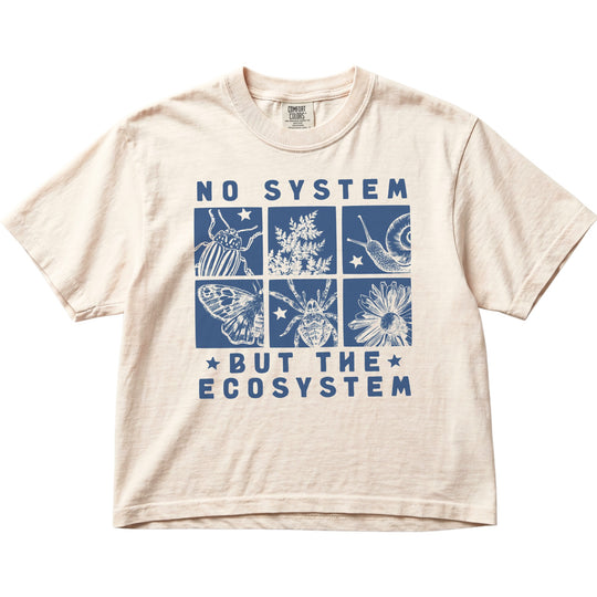 No System But The Ecosystem Women&