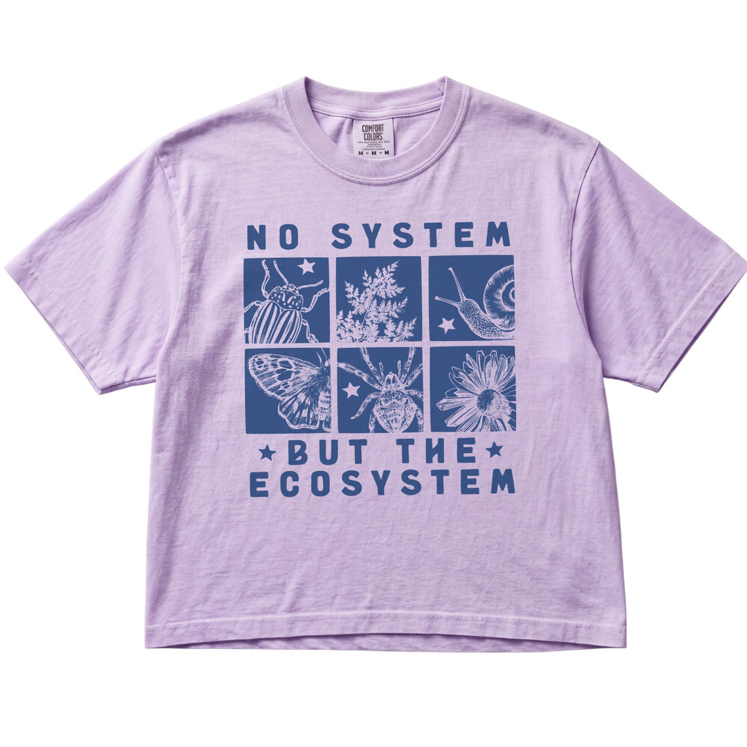 No System But The Ecosystem Women&
