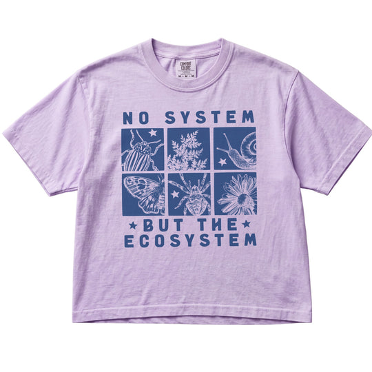 No System But The Ecosystem Women&