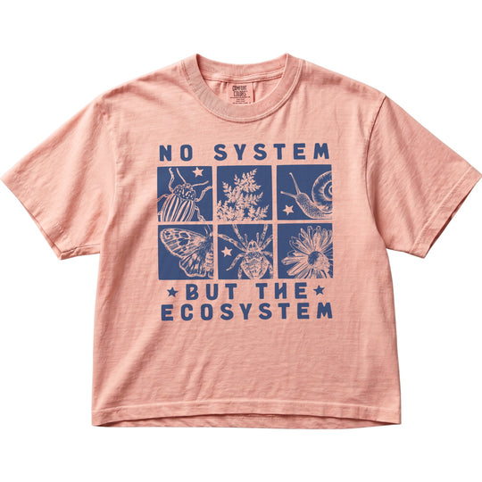 No System But The Ecosystem Women&