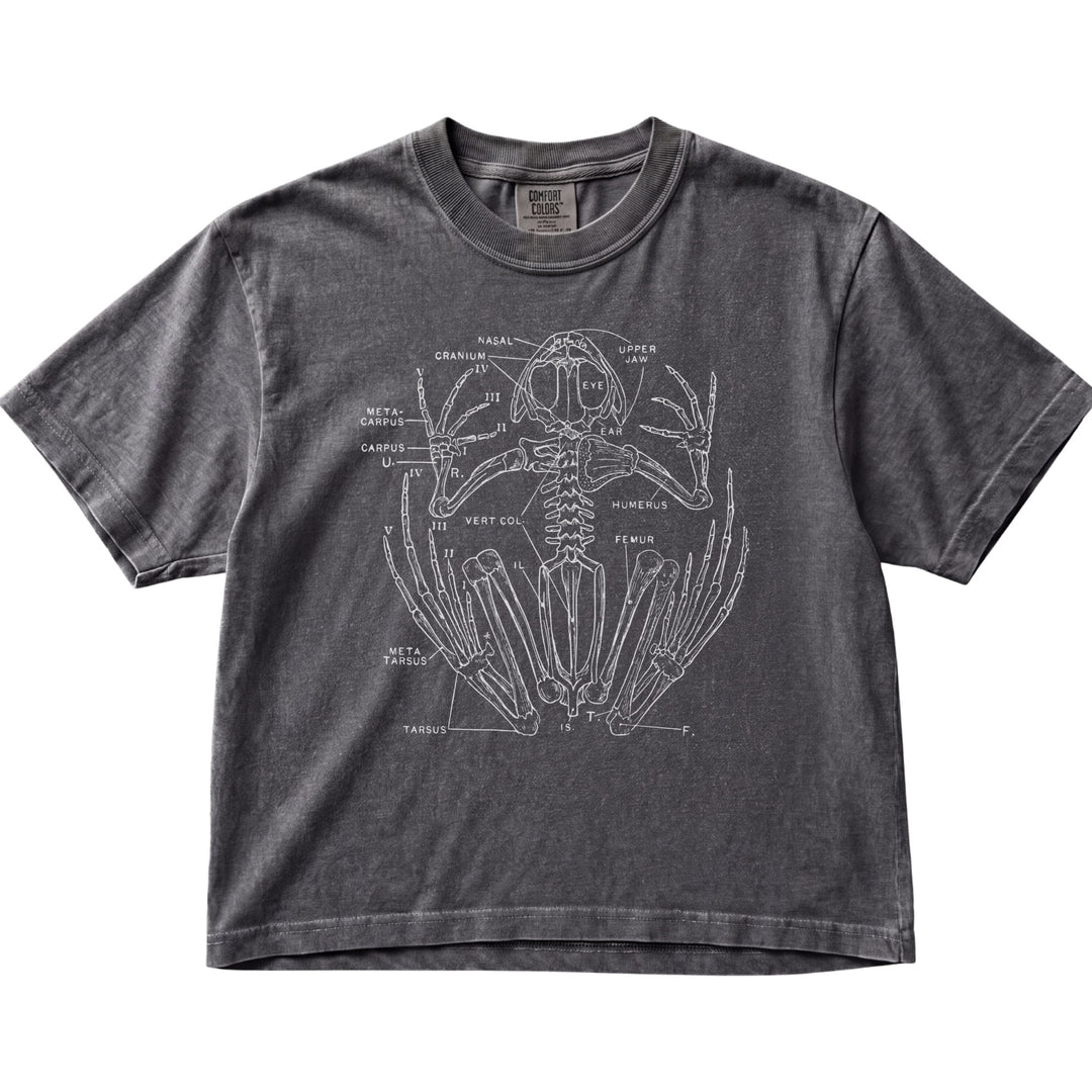 Anatomical Frog Skeleton Women&