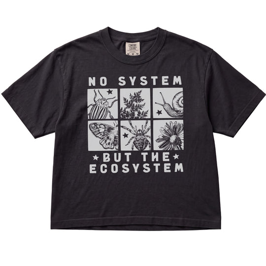 No System But The Ecosystem Women&