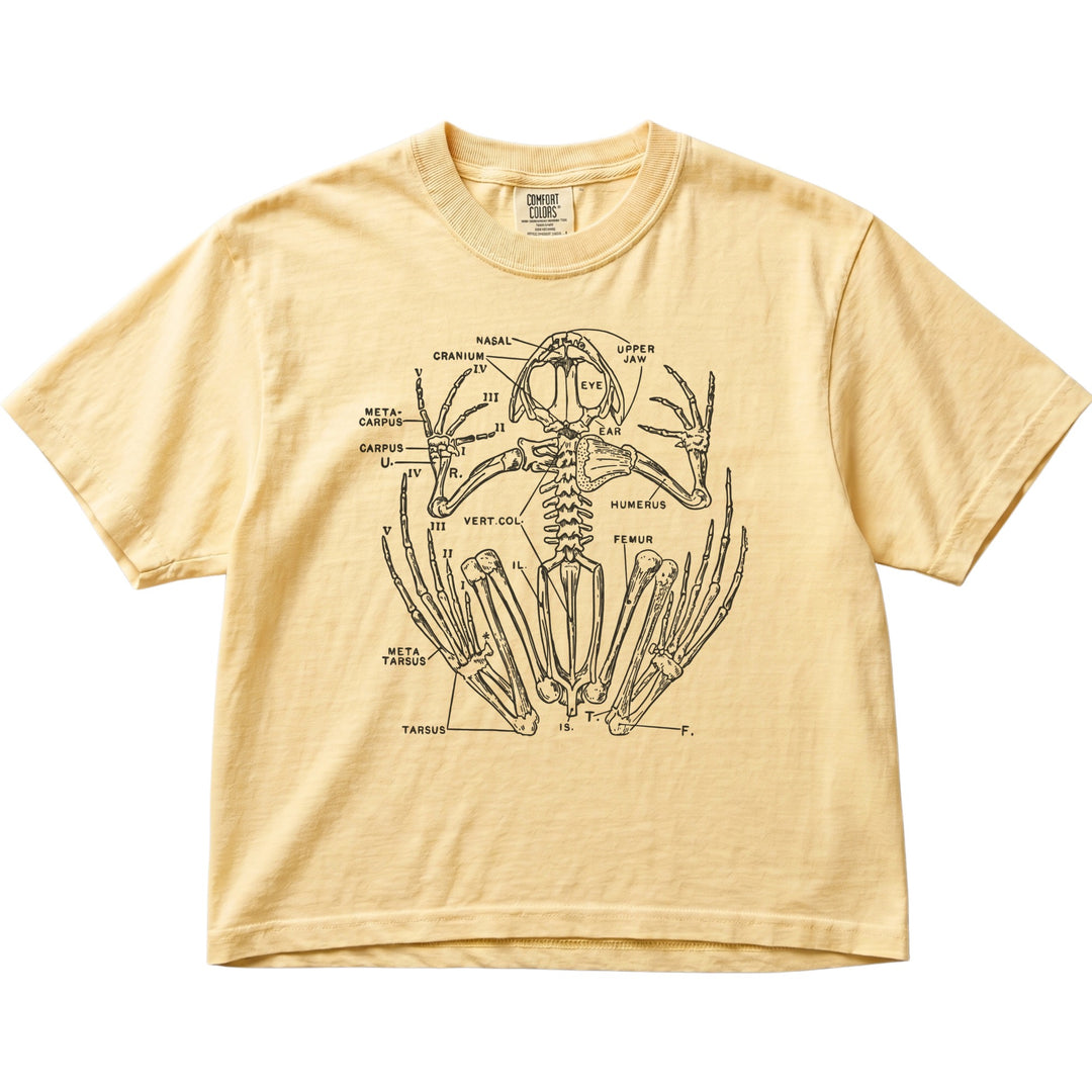 Anatomical Frog Skeleton Women&