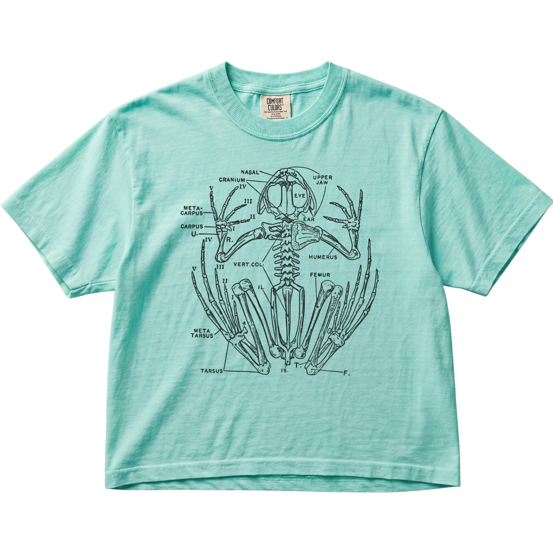 Anatomical Frog Skeleton Women&