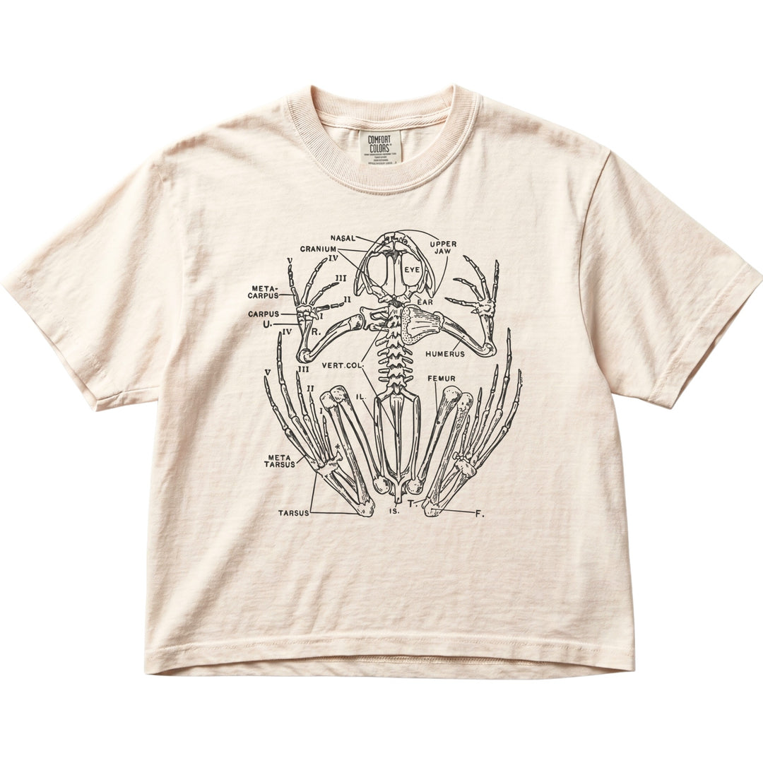 Anatomical Frog Skeleton Women&