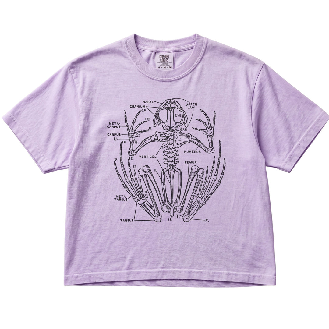 Anatomical Frog Skeleton Women&