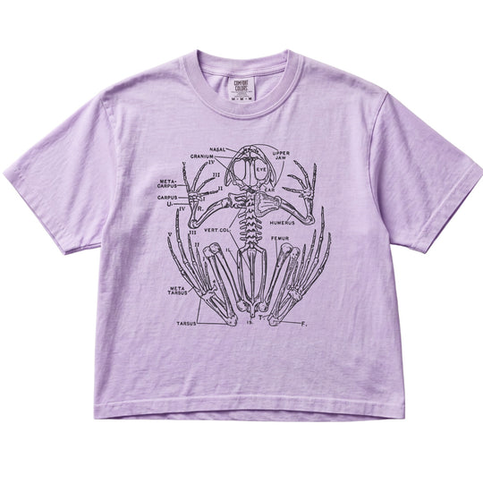 Anatomical Frog Skeleton Women&
