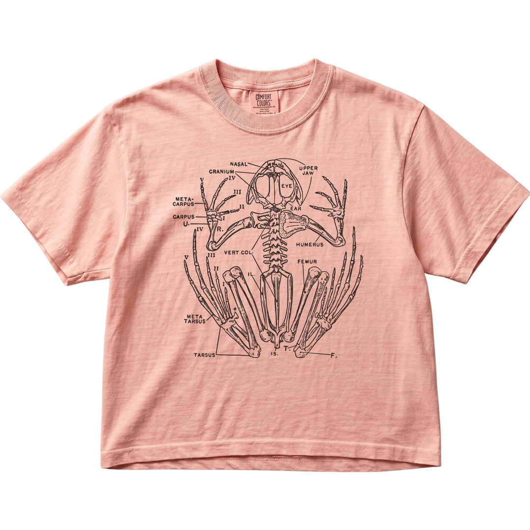 Anatomical Frog Skeleton Women&