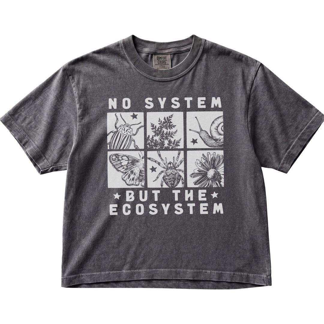 No System But The Ecosystem Women&