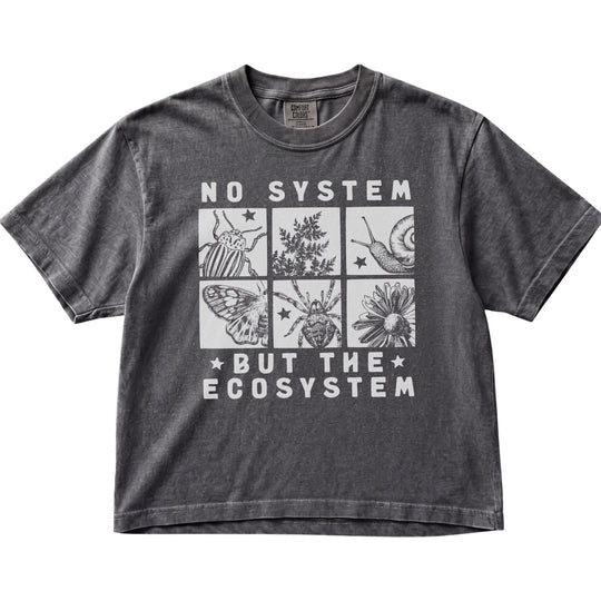 No System But The Ecosystem Women&