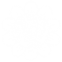The Rogue Petal Co.
