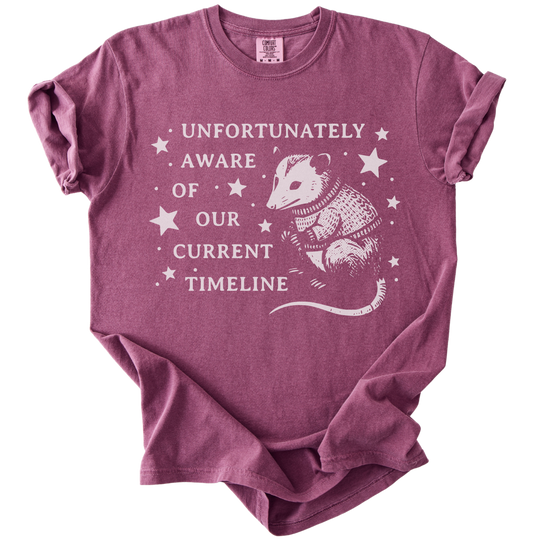 Unfortunately Aware of Our Current Timeline Tee