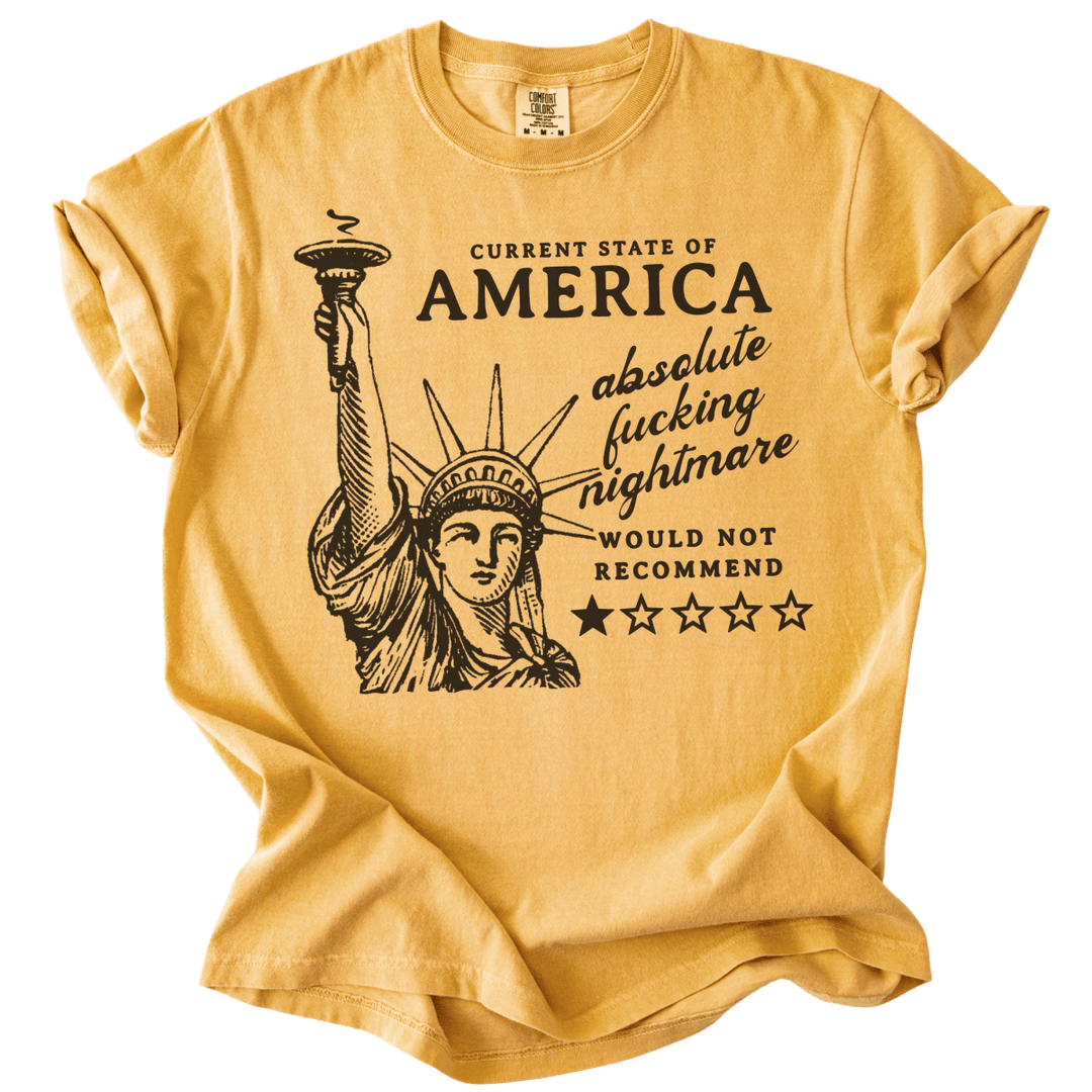 America: Would Not Recommend Tee - The Rogue Petal Co. - T-Shirt