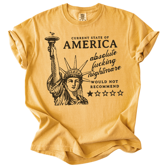 America: Would Not Recommend Tee - The Rogue Petal Co. - T-Shirt