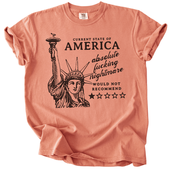America: Would Not Recommend Tee - The Rogue Petal Co. - T-Shirt