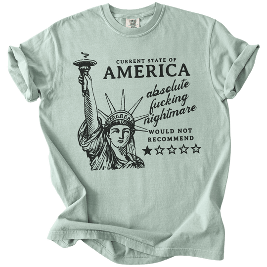 America: Would Not Recommend Tee - The Rogue Petal Co. - T-Shirt