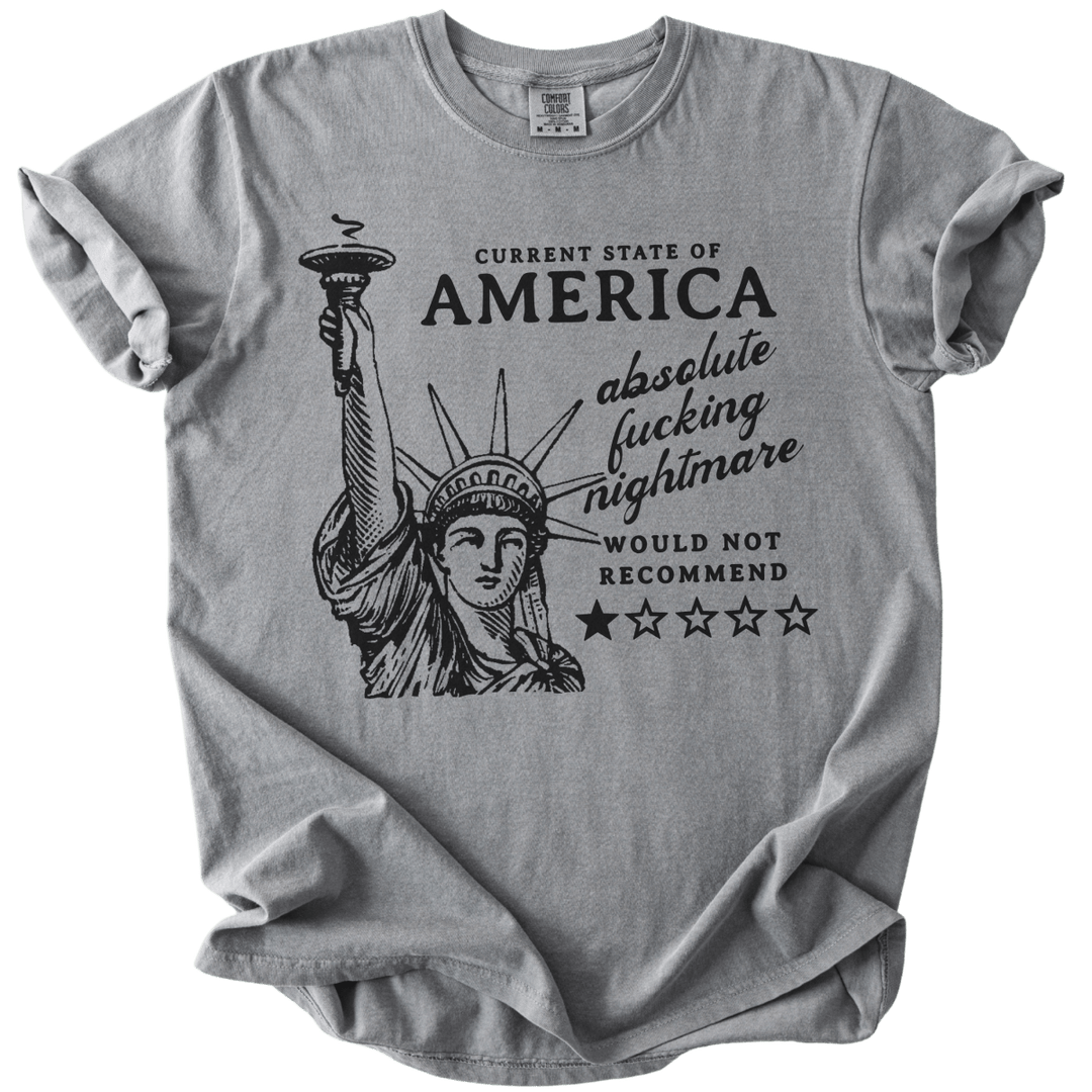 America: Would Not Recommend Tee - The Rogue Petal Co. - T-Shirt