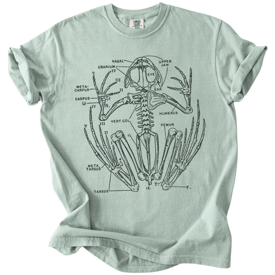 Anatomical Frog Skeleton Tee - The Rogue Petal Co. - T-Shirt