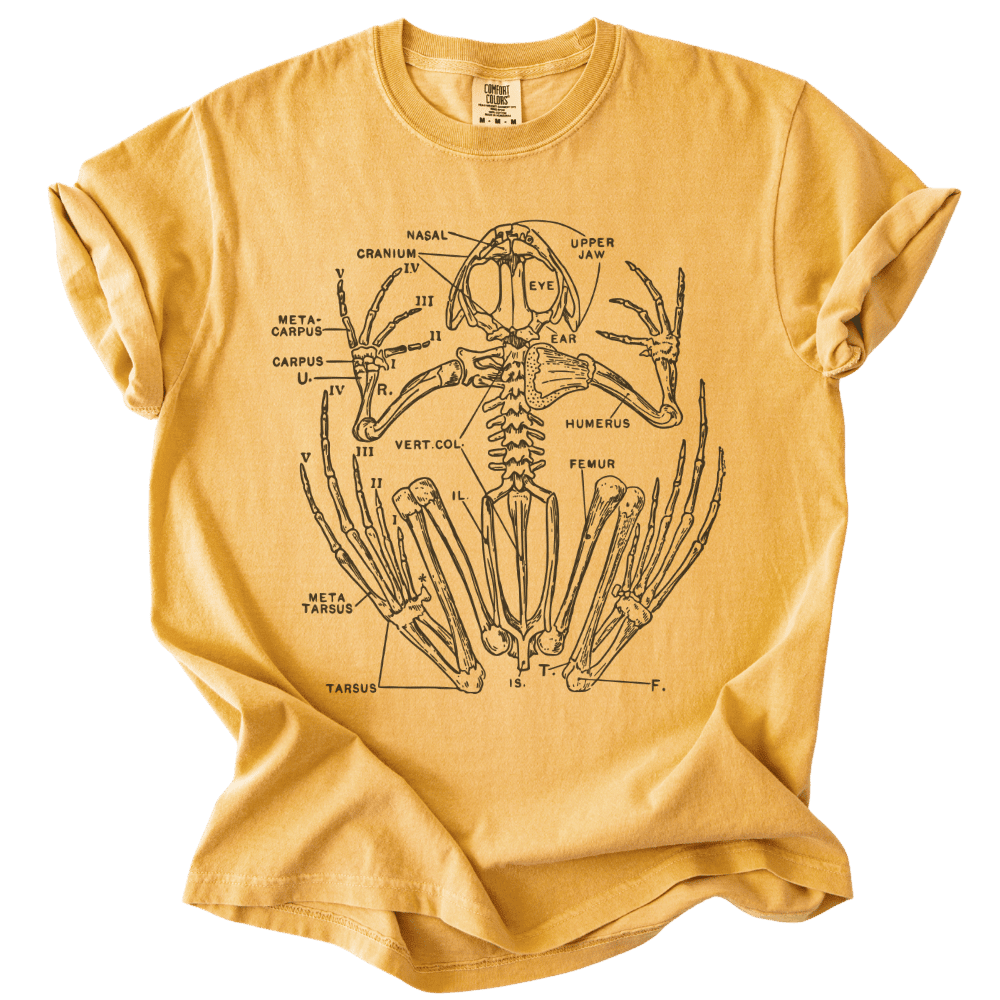 Anatomical Frog Skeleton Tee - The Rogue Petal Co. - T-Shirt