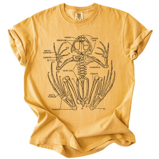 Anatomical Frog Skeleton Tee - The Rogue Petal Co. - T-Shirt