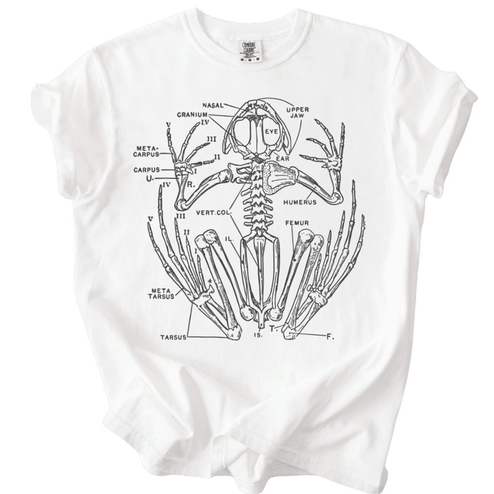 Anatomical Frog Skeleton Tee - The Rogue Petal Co. - T-Shirt