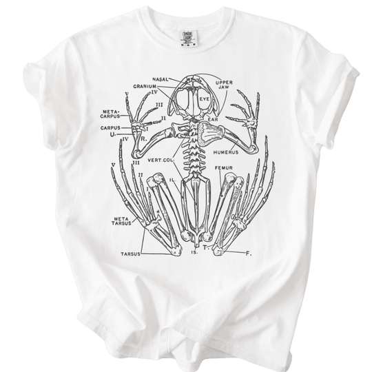 Anatomical Frog Skeleton Tee - The Rogue Petal Co. - T-Shirt