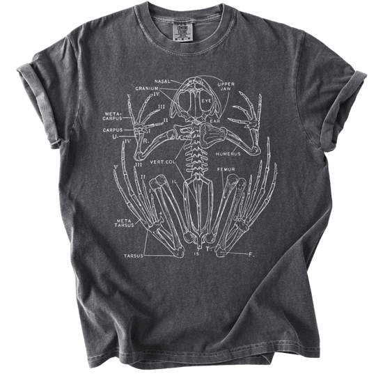Anatomical Frog Skeleton Tee - The Rogue Petal Co. - T-Shirt