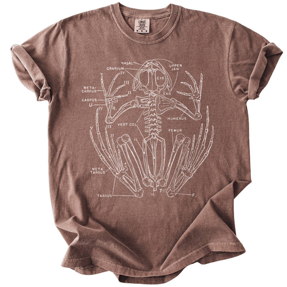 Anatomical Frog Skeleton Tee - The Rogue Petal Co. - T-Shirt