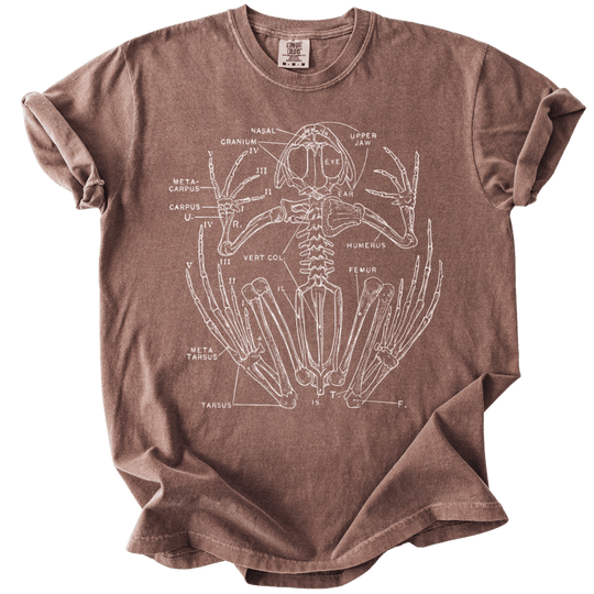 Anatomical Frog Skeleton Tee - The Rogue Petal Co. - T-Shirt