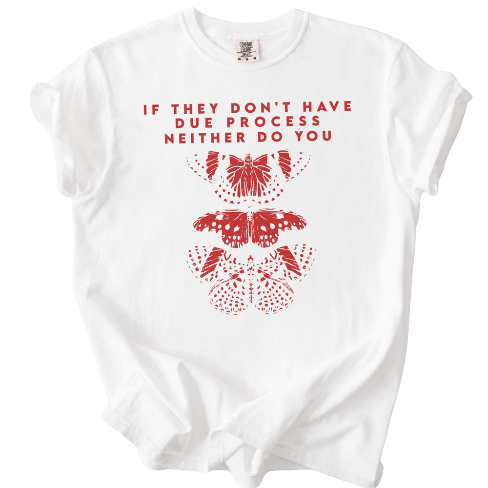 If They Don't Have Due Process Neither Do You Tee - The Rogue Petal Co. - T-Shirt