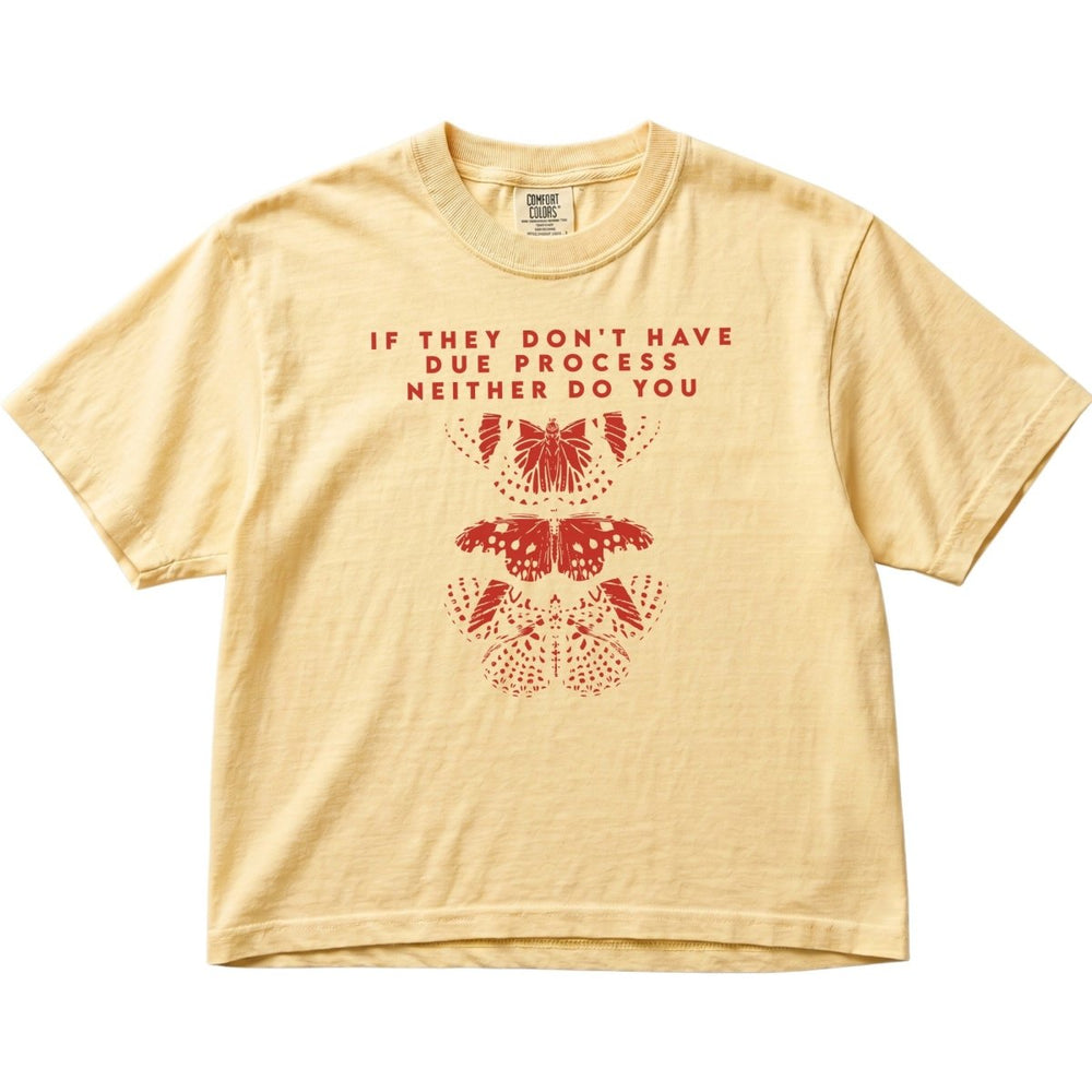 If They Don't Have Due Process Neither Do You Women's Cropped Boxy - The Rogue Petal Co. - T-Shirt