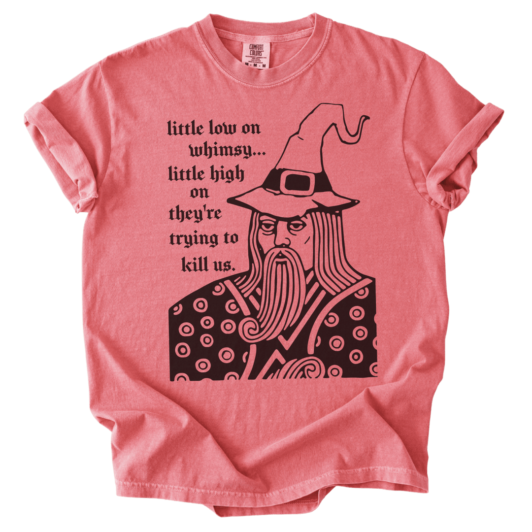 Little Low on Whimsy Wizard Tee - The Rogue Petal Co. - T-Shirt