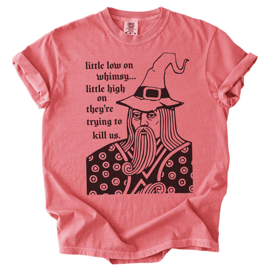 Little Low on Whimsy Wizard Tee - The Rogue Petal Co. - T-Shirt