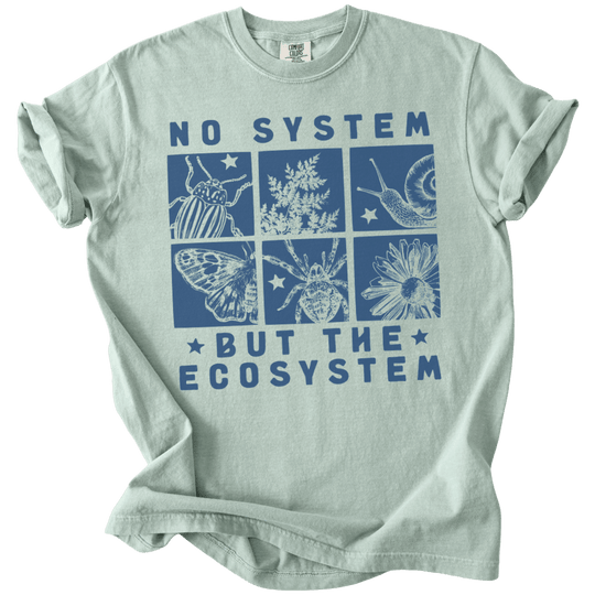 No System But The Ecosystem Boxes Tee - The Rogue Petal Co. - T-Shirt