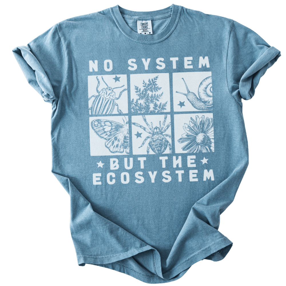 No System But The Ecosystem Boxes Tee - The Rogue Petal Co. - T-Shirt