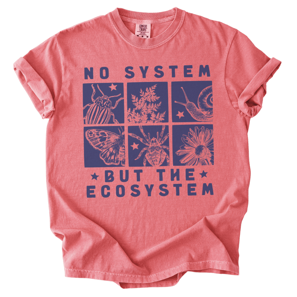 No System But The Ecosystem Boxes Tee - The Rogue Petal Co. - T-Shirt