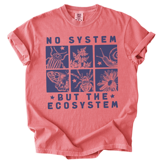 No System But The Ecosystem Boxes Tee - The Rogue Petal Co. - T-Shirt
