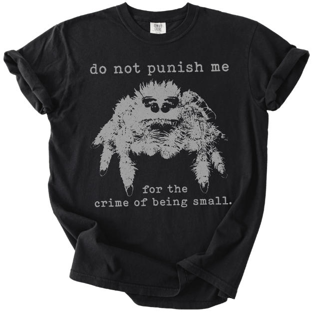 The Crime of Being Small Spider Tee - The Rogue Petal Co. - T-Shirt