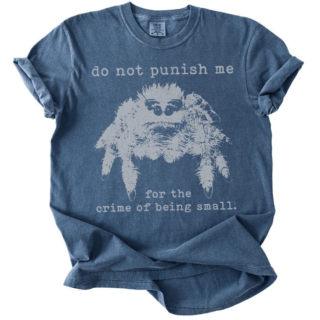 The Crime of Being Small Spider Tee - The Rogue Petal Co. - T-Shirt