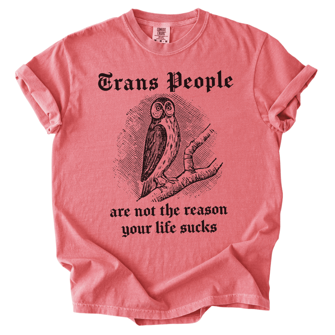 Trans People Are Not The Reason Owl Tee - The Rogue Petal Co. - T-Shirt
